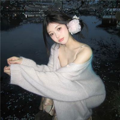 伊尔先生